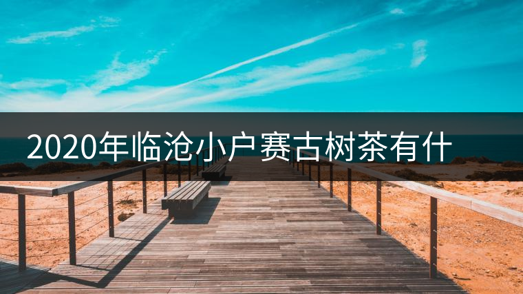 2020年臨滄小戶賽古樹茶有什么特點(diǎn)？因何被稱為“賽冰島”？-易武中聘號