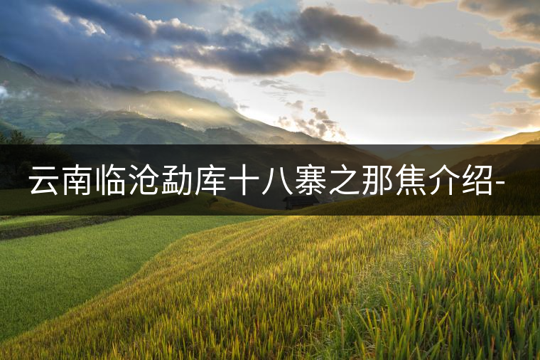 云南臨滄勐庫(kù)十八寨之那焦介紹-易武中聘號(hào) 云南臨滄勐庫(kù)十八寨之那焦介紹-易武中聘號(hào)