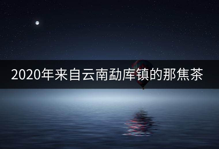 2020年來自云南勐庫鎮(zhèn)的那焦茶-易武中聘號(hào) 2020年來自云南勐庫鎮(zhèn)的那焦茶-易武中聘號(hào)