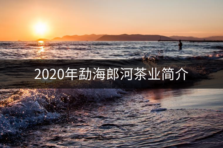 2020年勐海郎河茶業(yè)簡(jiǎn)介 2020年勐海郎河茶業(yè)簡(jiǎn)介
