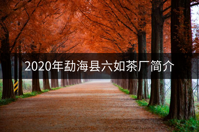 2020年勐?？h六如茶廠簡介