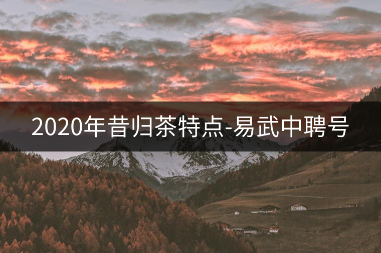 2020年昔歸茶特點(diǎn)-易武中聘號(hào)