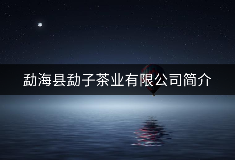 勐?？h勐子茶業(yè)有限公司簡介