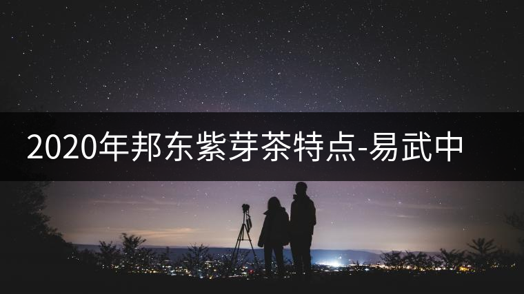 2020年邦東紫芽茶特點-易武中聘號 2020年邦東紫芽茶特點-易武中聘號