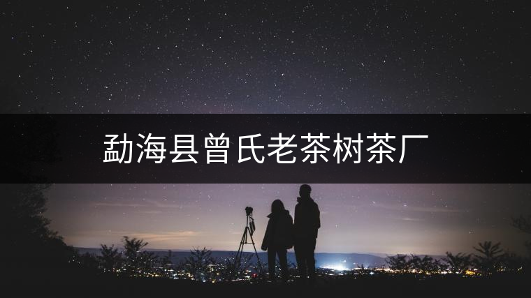 勐??h曾氏老茶樹(shù)茶廠 勐海縣曾氏老茶樹(shù)茶廠