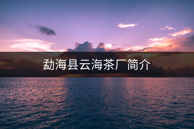 勐海縣云海茶廠簡(jiǎn)介 勐海縣云海茶廠簡(jiǎn)介