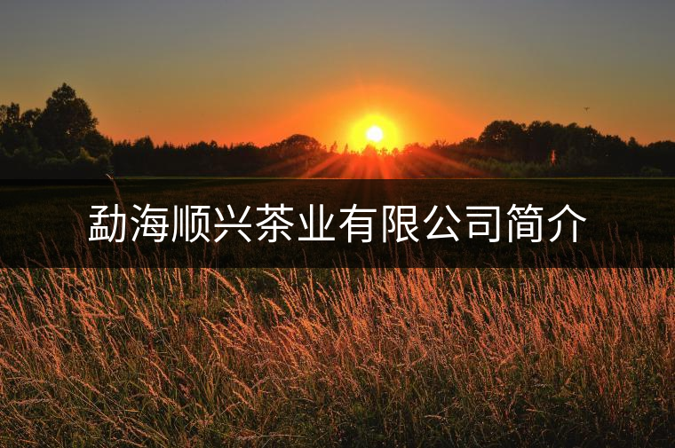 勐海順興茶業(yè)有限公司簡(jiǎn)介 勐海順興茶業(yè)有限公司簡(jiǎn)介