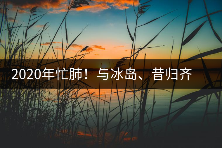 2020年忙肺！與冰島、昔歸齊名的普洱茶，到底是什么味道？-易武中聘號