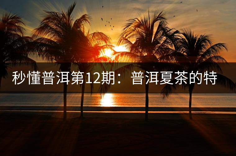 秒懂普洱第12期：普洱夏茶的特點？如何區(qū)別？