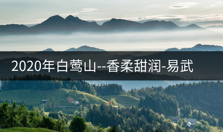 2020年白鶯山--香柔甜潤-易武中聘號 2020年白鶯山--香柔甜潤-易武中聘號
