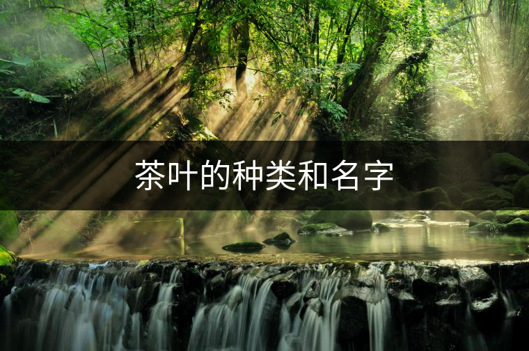 茶葉的種類和名字 茶葉的種類和名字