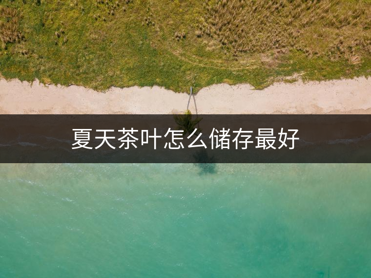 夏天茶葉怎么儲存最好 夏天茶葉怎么儲存最好