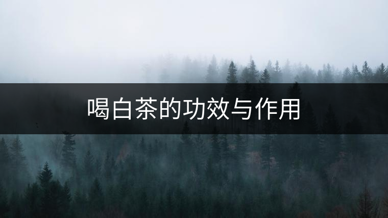 喝白茶的功效與作用 喝白茶的功效與作用