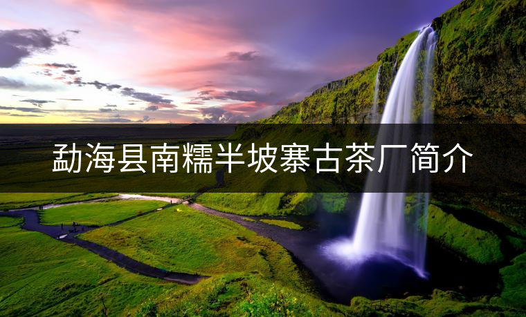 勐海縣南糯半坡寨古茶廠簡(jiǎn)介