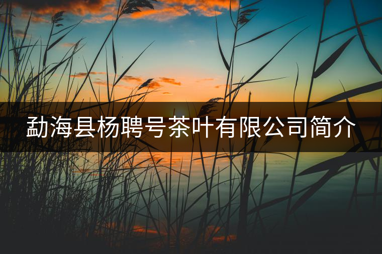 勐海縣楊聘號(hào)茶葉有限公司簡介 勐??h楊聘號(hào)茶葉有限公司簡介