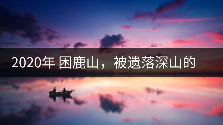 2020年 困鹿山，被遺落深山的皇家古茶園-易武中聘號
