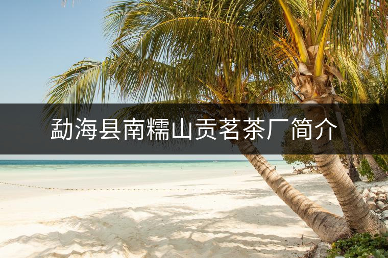 勐??h南糯山貢茗茶廠(chǎng)簡(jiǎn)介 勐??h南糯山貢茗茶廠(chǎng)簡(jiǎn)介