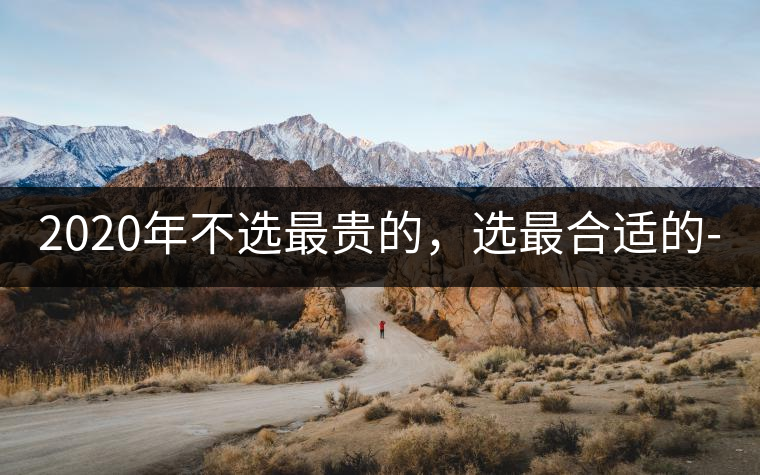 2020年不選最貴的，選最合適的-無量山古樹茶 |-易武中聘號