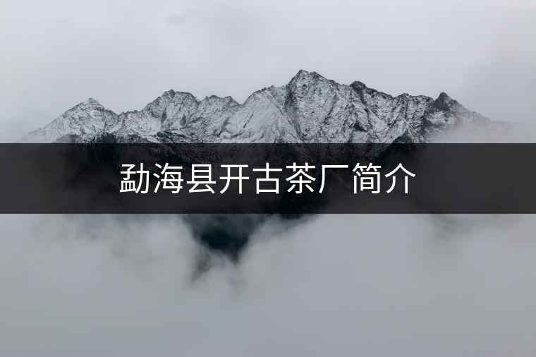 勐海縣開(kāi)古茶廠(chǎng)簡(jiǎn)介 勐海縣開(kāi)古茶廠(chǎng)簡(jiǎn)介