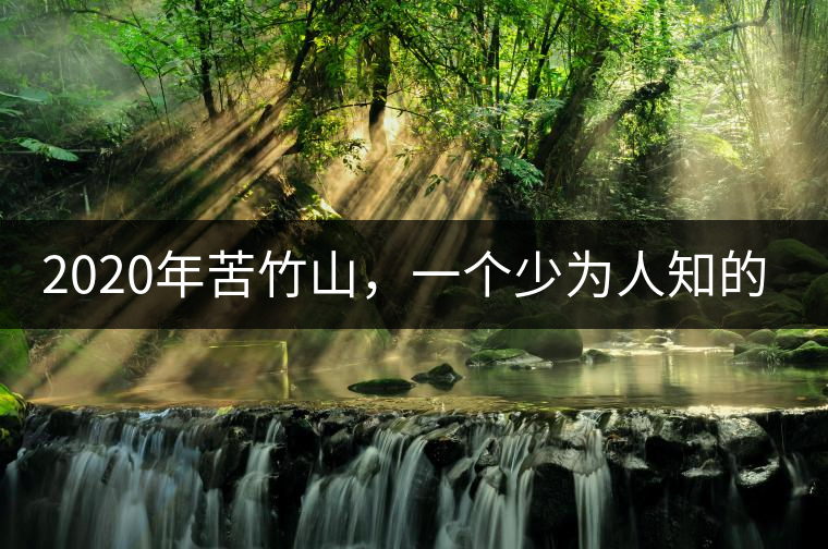 2020年苦竹山，一個(gè)少為人知的后起之秀！-易武中聘號