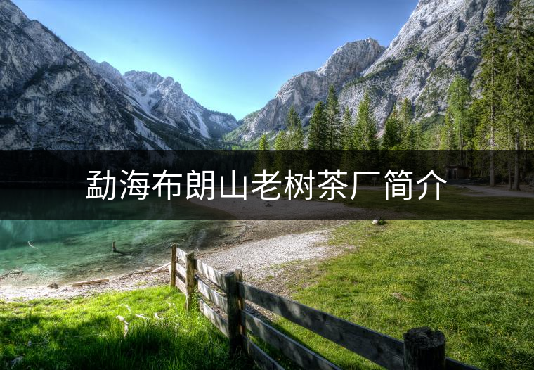 勐海布朗山老樹茶廠簡(jiǎn)介 勐海布朗山老樹茶廠簡(jiǎn)介