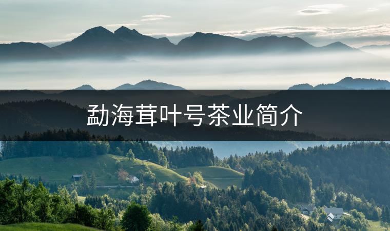 勐海茸葉號茶業(yè)簡介 勐海茸葉號茶業(yè)簡介