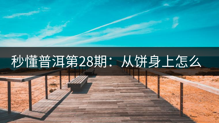 秒懂普洱第28期：從餅身上怎么辨識(shí)干倉(cāng)與濕倉(cāng) 普洱茶？