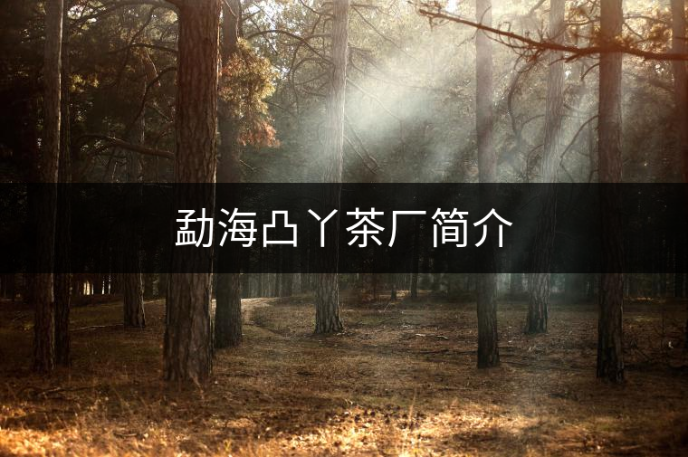 勐海凸丫茶廠簡(jiǎn)介 勐海凸丫茶廠簡(jiǎn)介