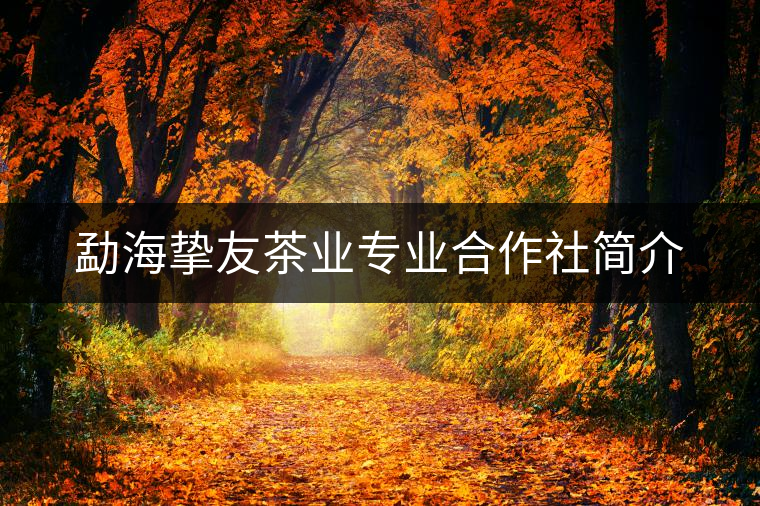 勐海摯友茶業(yè)專業(yè)合作社簡(jiǎn)介 勐海摯友茶業(yè)專業(yè)合作社簡(jiǎn)介