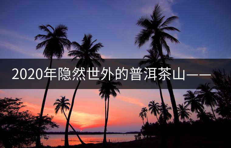 2020年隱然世外的普洱茶山——衛(wèi)東-易武中聘號(hào) 2020年隱然世外的普洱茶山——衛(wèi)東-易武中聘號(hào)