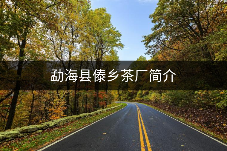 勐海縣傣鄉(xiāng)茶廠簡介 勐海縣傣鄉(xiāng)茶廠簡介