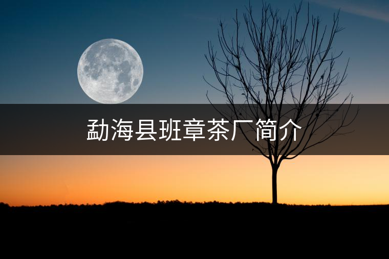 勐??h班章茶廠簡介 勐??h班章茶廠簡介