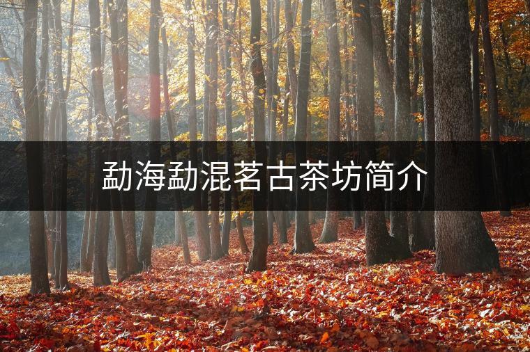 勐海勐混茗古茶坊簡(jiǎn)介