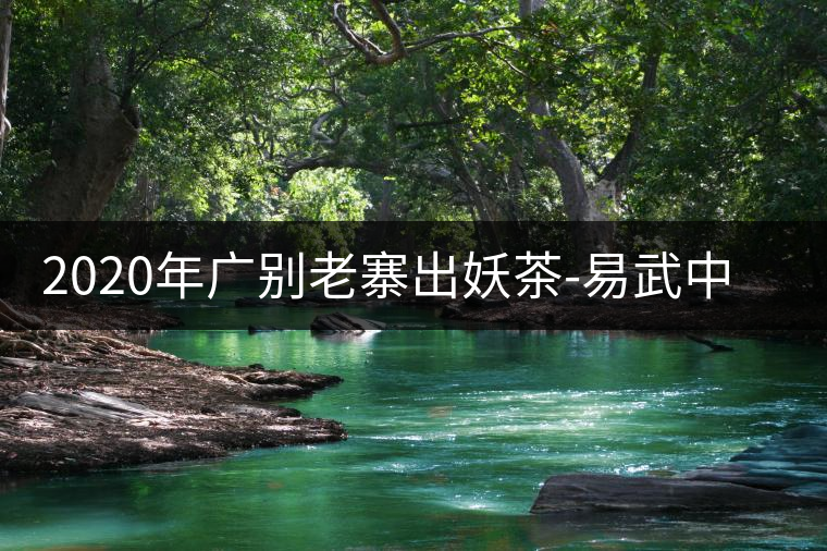 2020年廣別老寨出妖茶-易武中聘號
