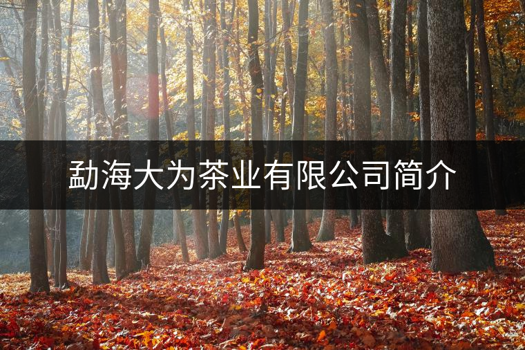 勐海大為茶業(yè)有限公司簡(jiǎn)介