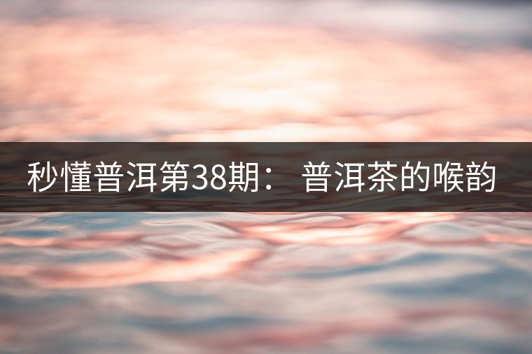 秒懂普洱第38期： 普洱茶的喉韻是什么？