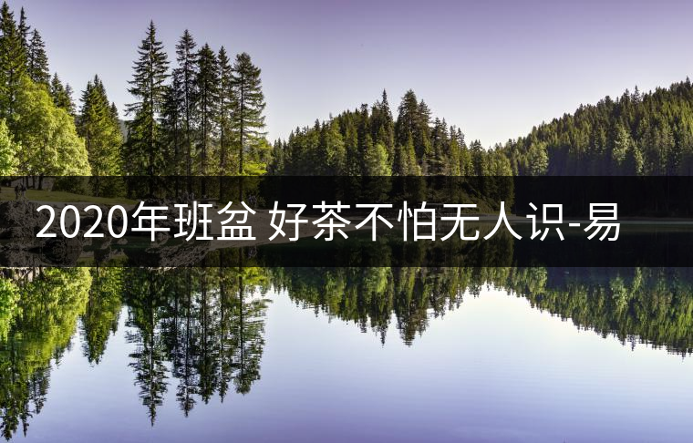 2020年班盆 好茶不怕無人識-易武中聘號 2020年班盆 好茶不怕無人識-易武中聘號