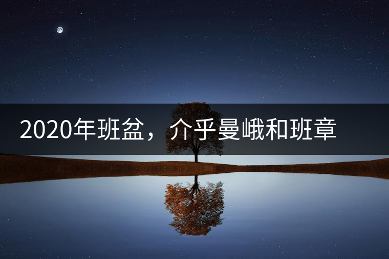2020年班盆，介乎曼峨和班章間的“老漢子”-易武中聘號