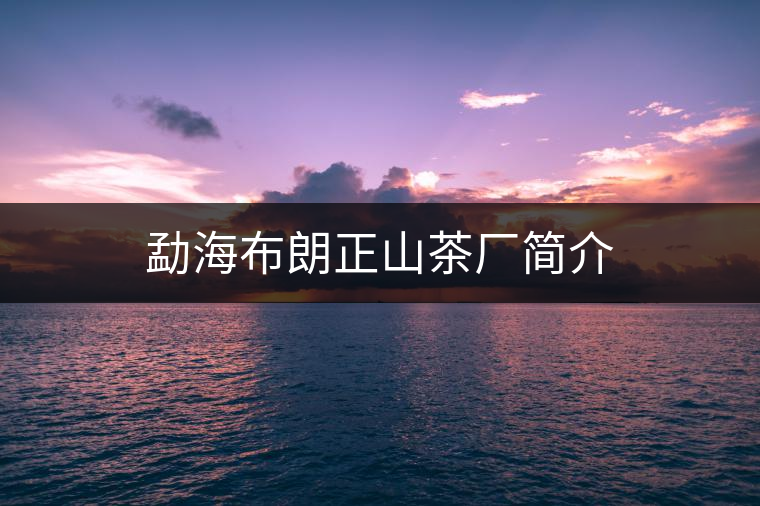 勐海布朗正山茶廠簡(jiǎn)介 勐海布朗正山茶廠簡(jiǎn)介
