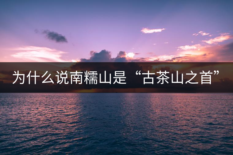 為什么說南糯山是“古茶山之首”？