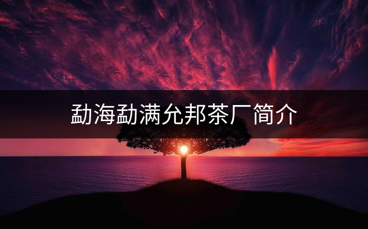 勐海勐滿允邦茶廠簡(jiǎn)介