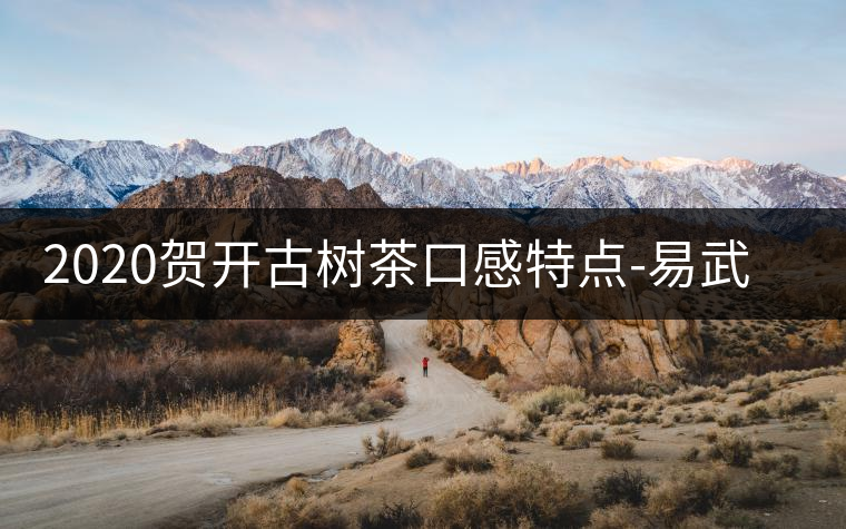 2020賀開古樹茶口感特點(diǎn)-易武中聘號