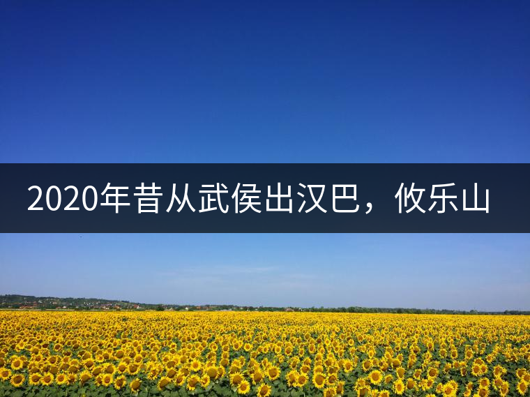2020年昔從武侯出漢巴，攸樂山中只種茶。-易武中聘號