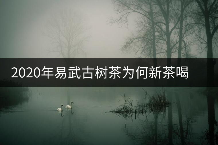 2020年易武古樹(shù)茶為何新茶喝時(shí)淡卻越放越濃？-易武中聘號(hào)