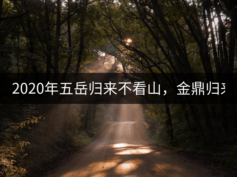 2020年五岳歸來(lái)不看山，金鼎歸來(lái)不看茶   -易武中聘號(hào)