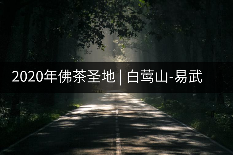 2020年佛茶圣地 | 白鶯山-易武中聘號