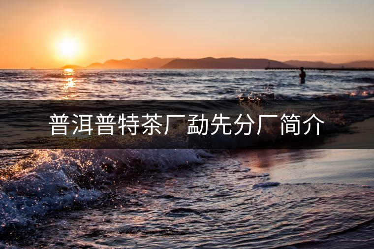 普洱普特茶廠勐先分廠簡(jiǎn)介