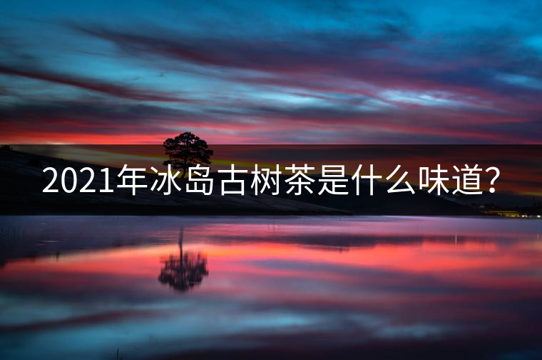 2021年冰島古樹(shù)茶是什么味道？