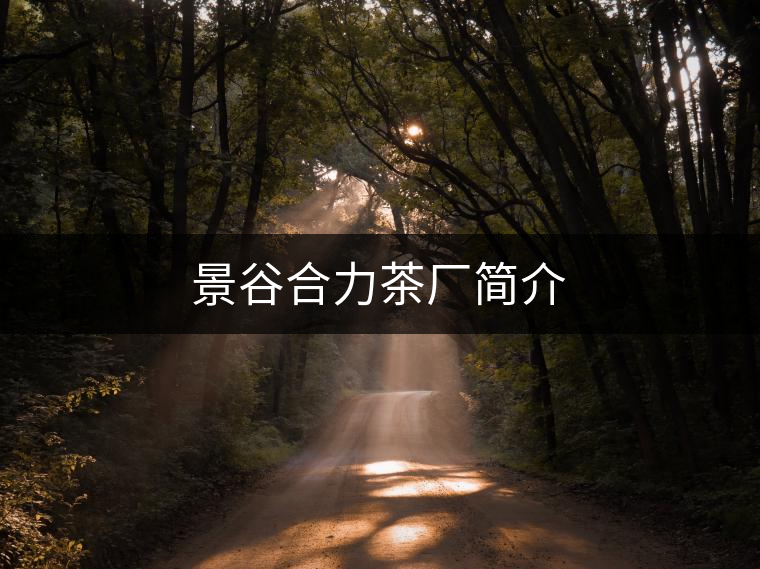 景谷合力茶廠簡(jiǎn)介 景谷合力茶廠簡(jiǎn)介