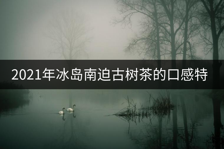 2021年冰島南迫古樹茶的口感特點(diǎn)！